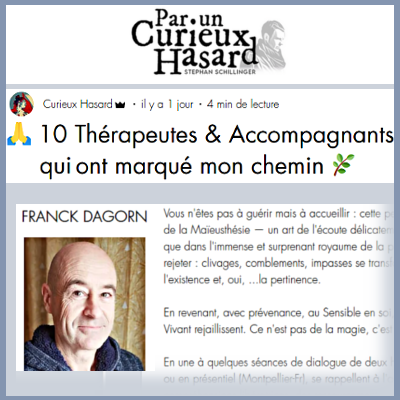 Par un curieux hasard de Stephen Schillinger Recommandation Média Franck Dagorn Thérapie en ligne à distance Distanciel Montpellier